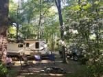 Trailer in a site at PROSPECT MOUNTAIN CAMPGROUND - thumbnail