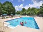 Guest enjoying the swimming pool at PROSPECT MOUNTAIN CAMPGROUND - thumbnail