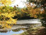 A view of the river with autumn trees at PROSPECT MOUNTAIN CAMPGROUND - thumbnail