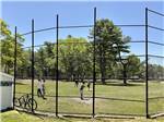 A group of kids playing baseball at CAPE COD'S MAPLE PARK CAMPGROUND & RV PARK - thumbnail