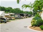 View larger image of RVs set up at park with trees in background at SUNDERMEIER RV PARK image #12