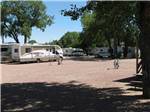 View larger image of Large graveled area with surrounding RV units at GOLDFIELD RV PARK image #2