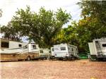 A group of RV sites with motorhomes at GOLDFIELD RV PARK - thumbnail