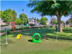 View larger image of The mini putt putt course at ORANGELAND RV PARK image #5