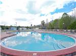 View larger image of Swimming pool at campground at SHERWOOD FOREST RV RESORT image #3
