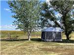 A tent and picnic table at BADLANDS MOTEL & CAMPGROUND - thumbnail