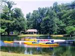 Water activities near a pier and trees - thumbnail