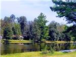 Trees and pond near the pavilion - thumbnail