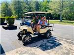 People sitting in a golf cart - thumbnail