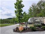 A row of RV sites with trees at GREENBRIER CAMPGROUND - thumbnail