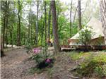 People standing in front of one of the rental glamping tent at GREENBRIER CAMPGROUND - thumbnail