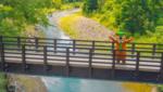 Bridge over lake at site Chautauqua County Jellystone Park - thumbnail