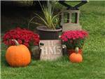 View larger image of A couple of pumpkins and flowers at BEAVER MEADOW FAMILY CAMPGROUND image #3