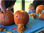 View larger image of A group of people carving pumpkins at BEAVER MEADOW FAMILY CAMPGROUND image #10
