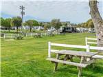 Grassy area with picnic tables at HOLIDAY TRAV-L-PARK RESORT - thumbnail