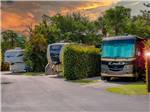 View larger image of RVs separated by manicured shrubbery at NORTHTIDE NAPLES RV RESORT image #9