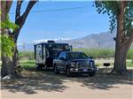 Trailer and truck under trees - thumbnail