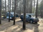 Tent trailer in treed site - thumbnail