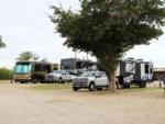 RVs parked on campground at WHIP IN RV PARK - thumbnail