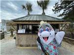 View larger image of The dolphin mascot in a Hawaiian shirt at MYRTLE BEACH TRAVEL PARK image #7