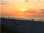 The ocean at sunrise - thumbnail
