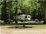 View larger image of Trees surrounding an RV site at LAND-O-PINES FAMILY CAMPGROUND image #5