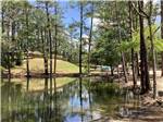 View larger image of Trees surrounding the pond at LAND-O-PINES FAMILY CAMPGROUND image #10