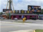 South of the Border restaurant at CAMP PEDRO CAMPGROUND - thumbnail
