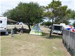 View larger image of A tent set up under a tree at FRISCO WOODS CAMPGROUND image #4