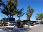 A row of motorhomes in paved sites at RIVER VISTA RV VILLAGE - thumbnail