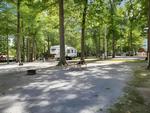 Parked trailer next to open RV space at site Yogi Bear's Jellystone Park at Kozy Rest - thumbnail