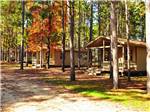 View larger image of Log cabins with decks at YUKON TRAILS CAMPGROUND image #4