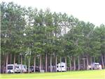 View larger image of RVs camping at YUKON TRAILS CAMPGROUND image #9