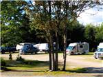 Motorhomes and trailers in sites backed by tall trees at RAYPORT CAMPGROUND - thumbnail