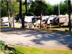 Campers gathered at a green RV campground at RAYPORT CAMPGROUND - thumbnail