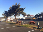 RV sites Redwood Harbor Village - thumbnail