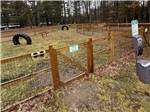 The enclosed dog park - thumbnail