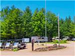 Golf carts, RVs and tall green trees - thumbnail