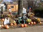 A display of pumpkins at HUNTINGTON FOX FIRE KOA - thumbnail