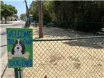 The fenced in dog park at NAVARRE BEACH CAMPING RESORT - thumbnail