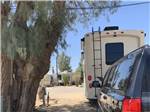 View larger image of A motorhome and tow vehicle under a tree at SHADY LANE RV CAMP image #2