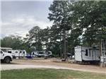 Trailers parked in dirt sites at TREASURE ISLE RV PARK - thumbnail