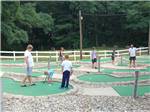 View larger image of Miniature golf course at TWIN MILLS RV RESORT image #6