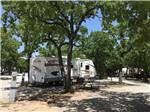 A travel trailer under a tree at CAMPER'S PARADISE RV PARK - thumbnail