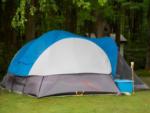 A blue and white tent - thumbnail