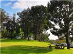 Campground photo thumbnail