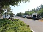A paved road leading to the sites at HOLIDAY RV PARK - thumbnail