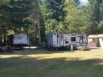 Parked RVs under the trees at MYSTIC FOREST RV PARK - thumbnail