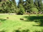 Horseshoe pits in the grass at MYSTIC FOREST RV PARK - thumbnail