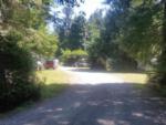 The road going into the park at MYSTIC FOREST RV PARK - thumbnail